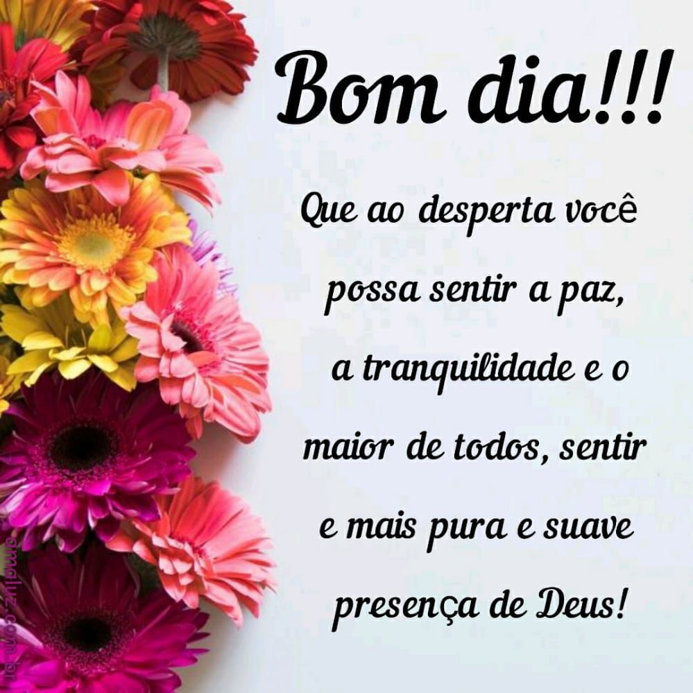 imagem para 2021 de bom dia