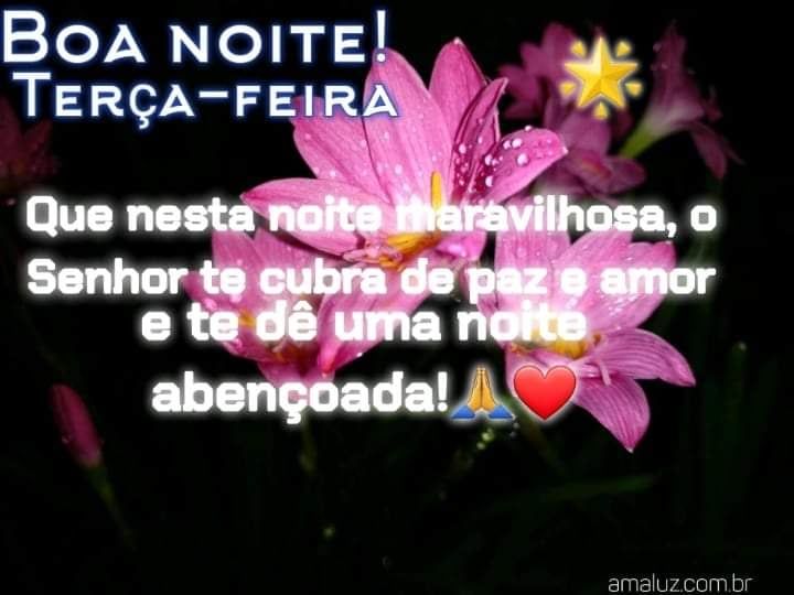 mensagem de boa noite terça feira com carinho