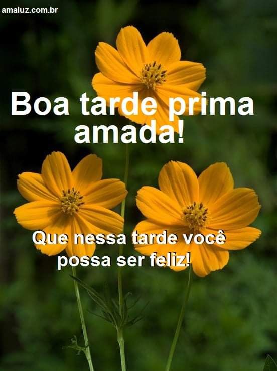 mensagem de boa tarde prima amada