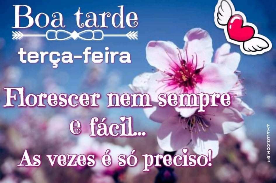 mensagem de boa tarde terça feira