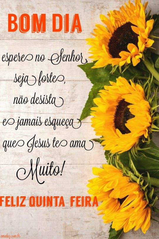 mensagem para você de bom dia e feliz quinta feira