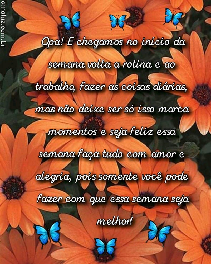 mensagens maravilhosa de semana