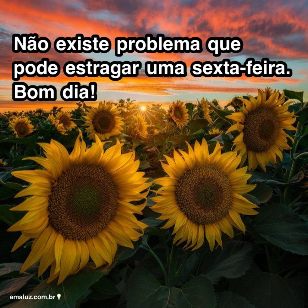 nao deixe que nem um problema estrague sua sexta feira bom dia