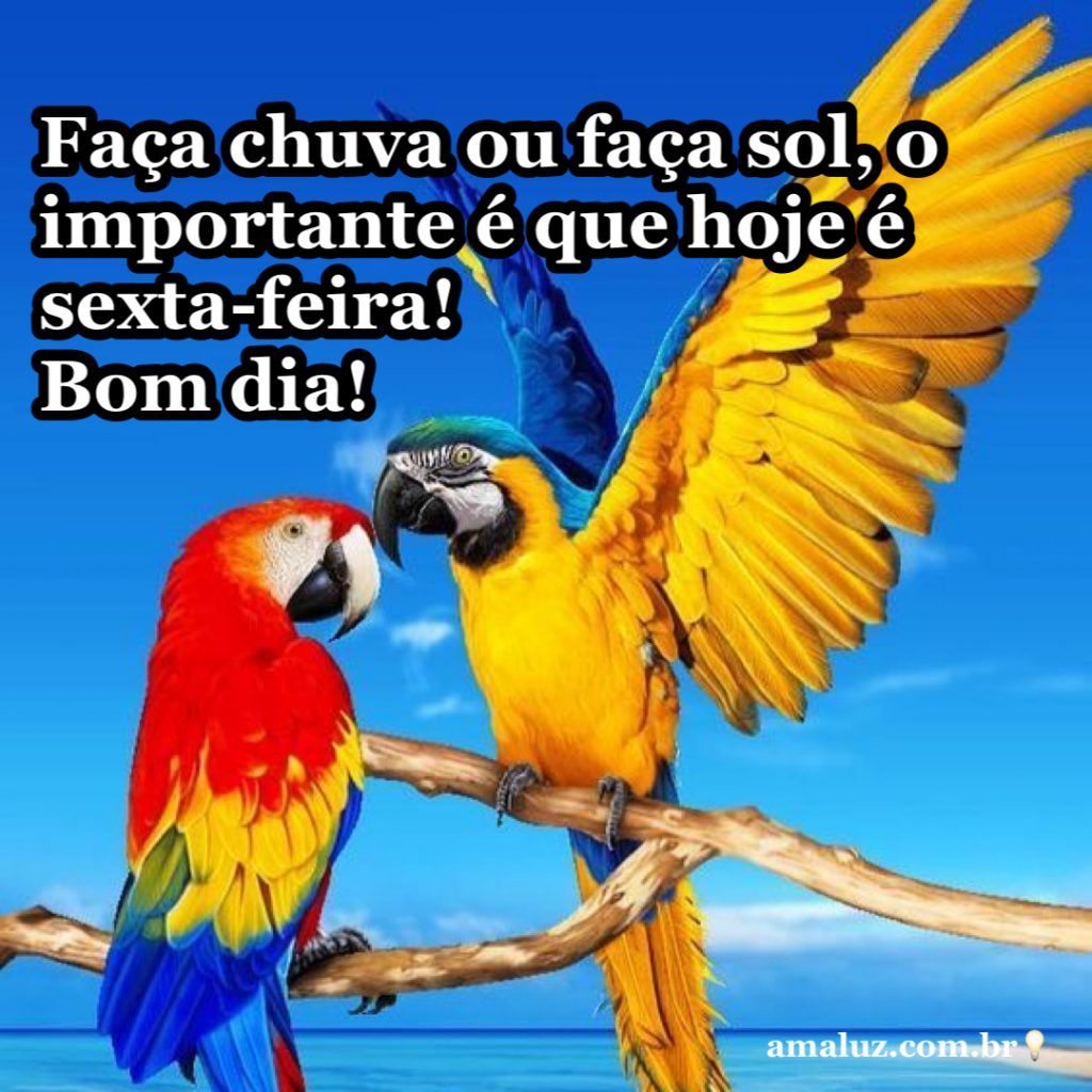o que importa é que hoje é sexta feira bom dia