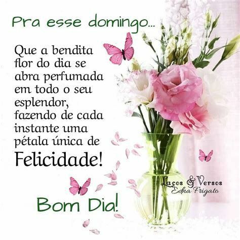 para esse domingo felicidade bom dia