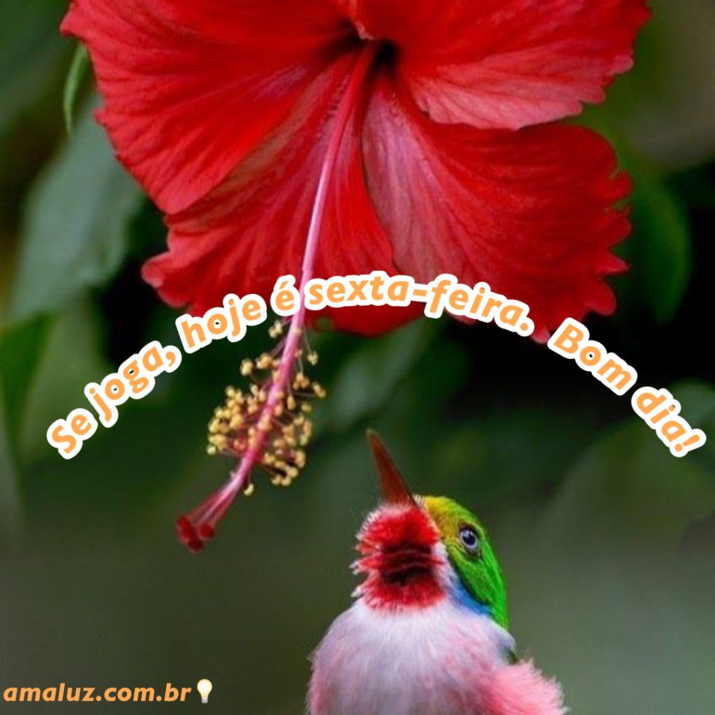 se joga que hoje e sexta feira bom dia