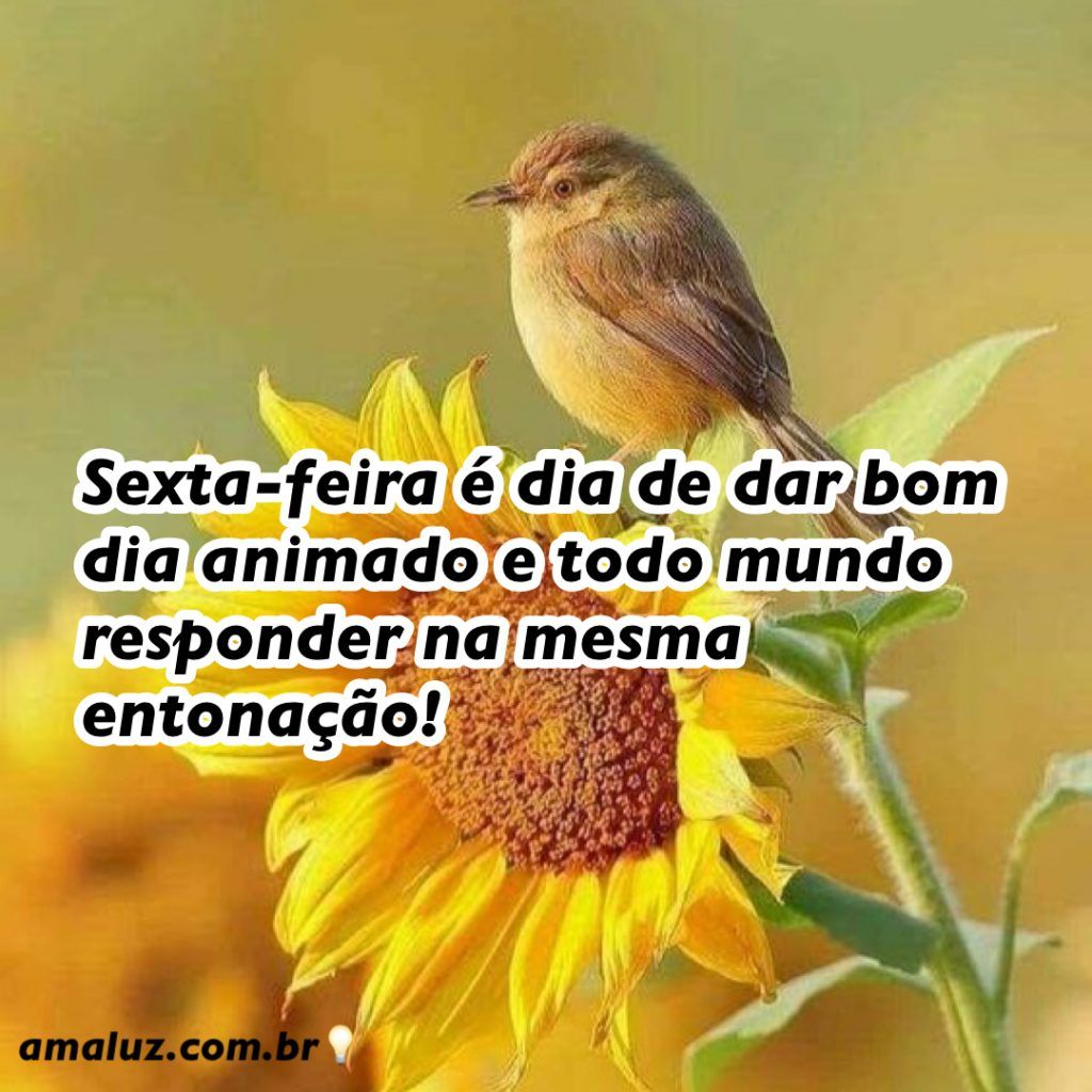 sexta feira hoje é dia de dar bom dia