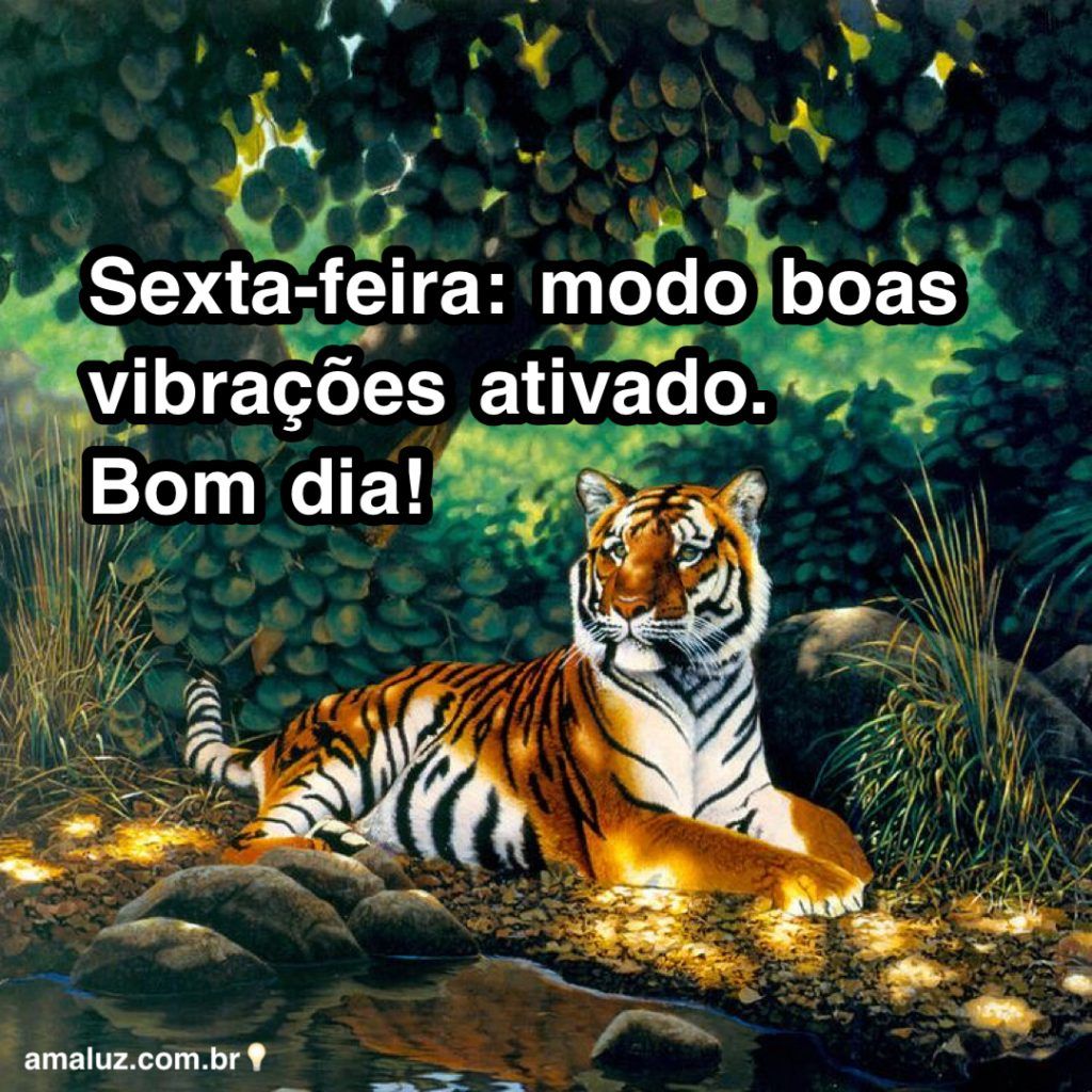 sexta feira moto de positividade ligado bom dia