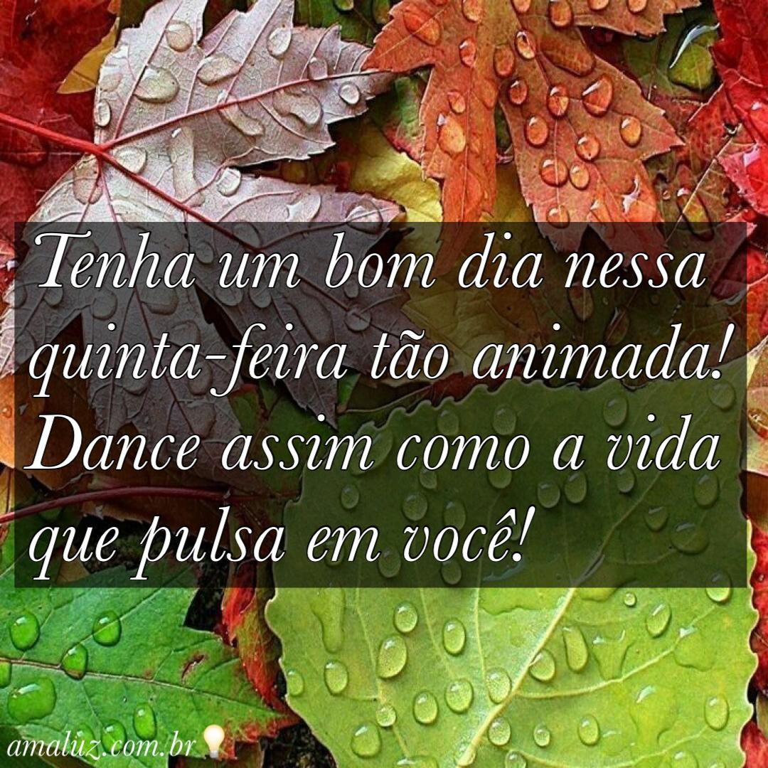 tenha um bom dia animado e feliz nesse amanhecer de quinta feira