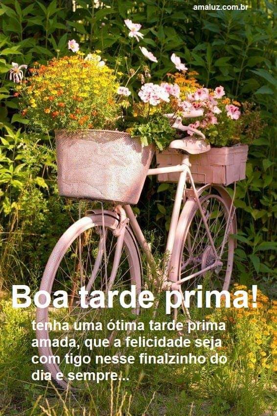 tenha uma ótima tarde prima