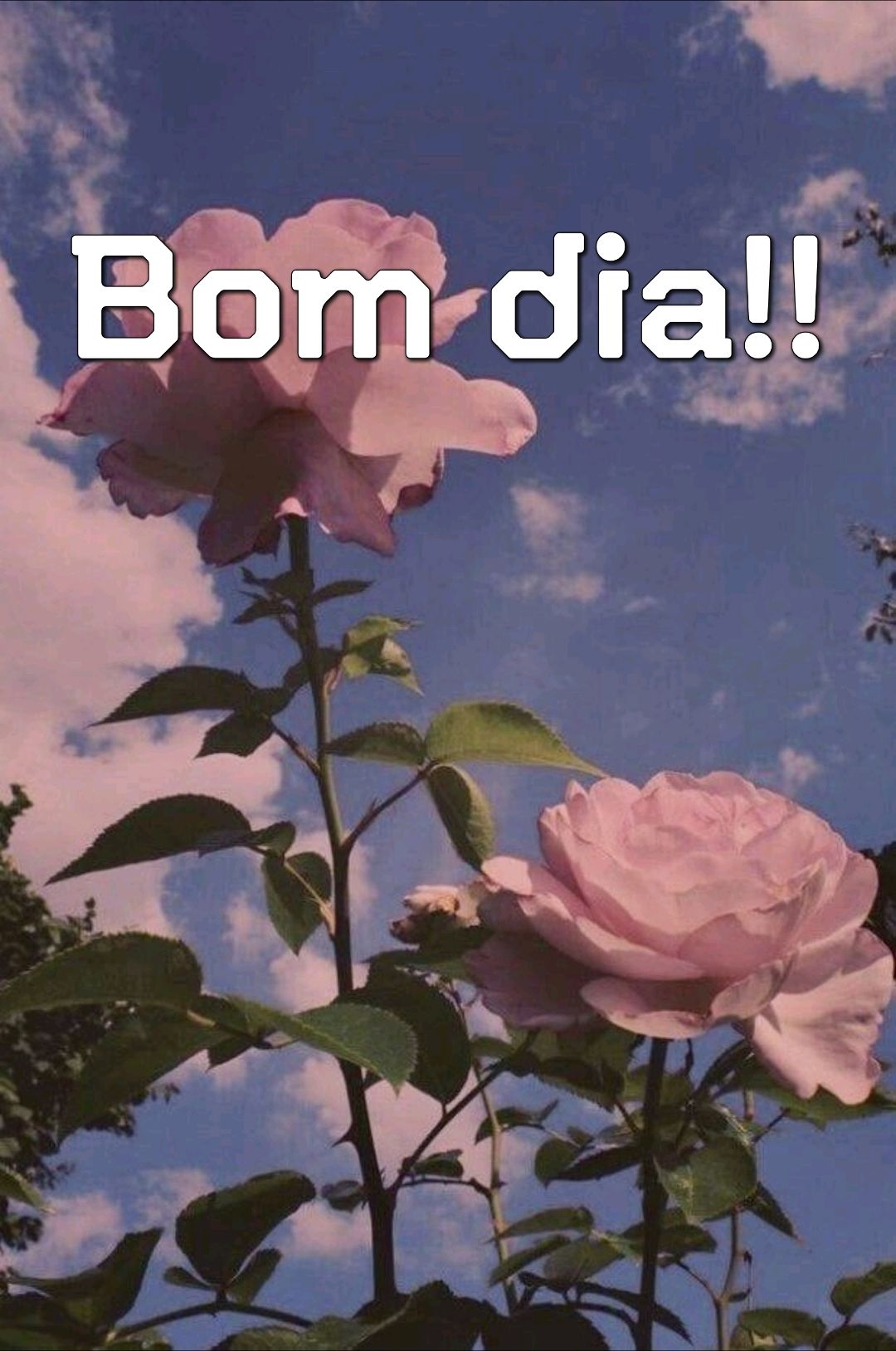 aquele bom dia para você fazer as frases 