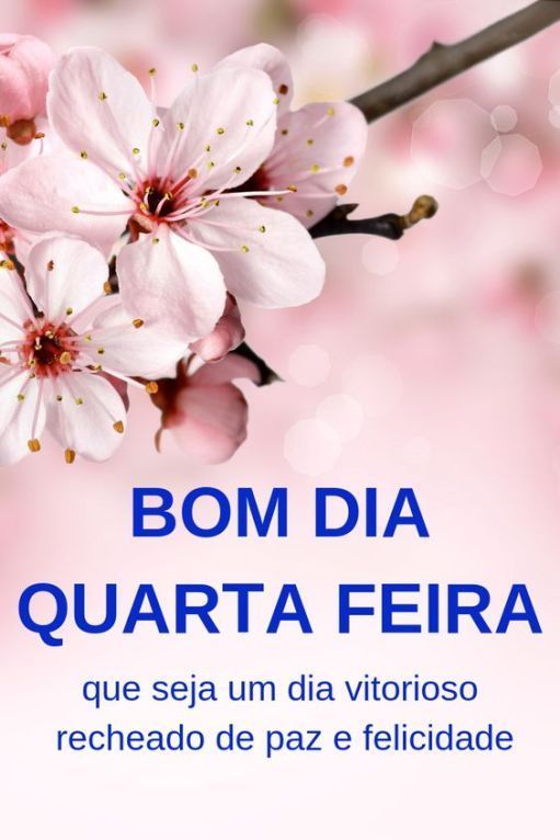 Bem vinda quarta feira abençoada