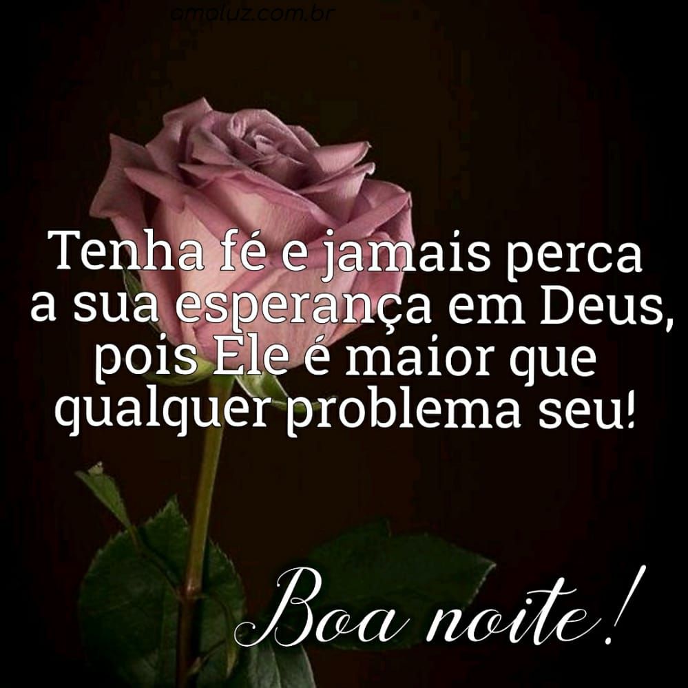 Boa noite! Tenha fé e prepara a esperança para colher os frutos