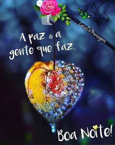 Boa noite amigos do whatsapp queridos que esta sempre agitando meus contatos