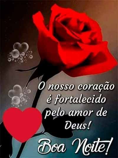 Boa noite! Você aceita essa linda rosa como o meu carinho de boa noite
