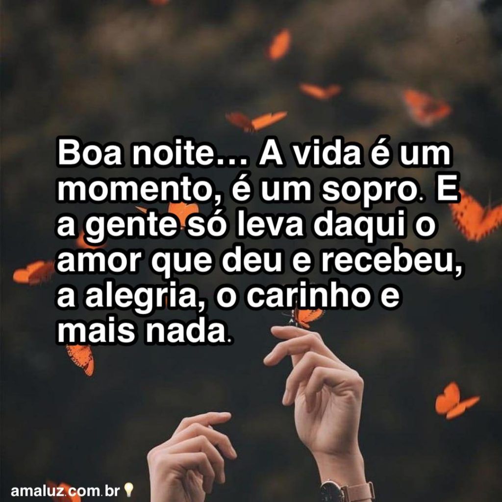 Boa noite... A vida é um momento, é um sopro. E a gente só leva daqui o amor que deu e recebeu, a alegria, o carinho e mais nada.