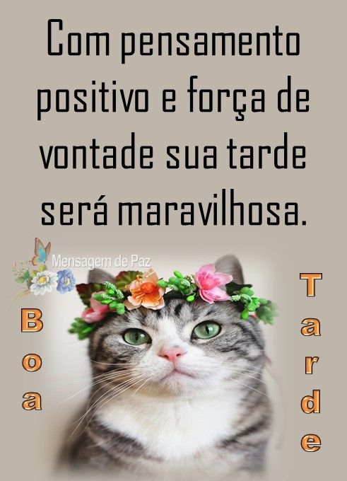 Boa tarde! Com os pensamentos positivos tudo se torna mais especial