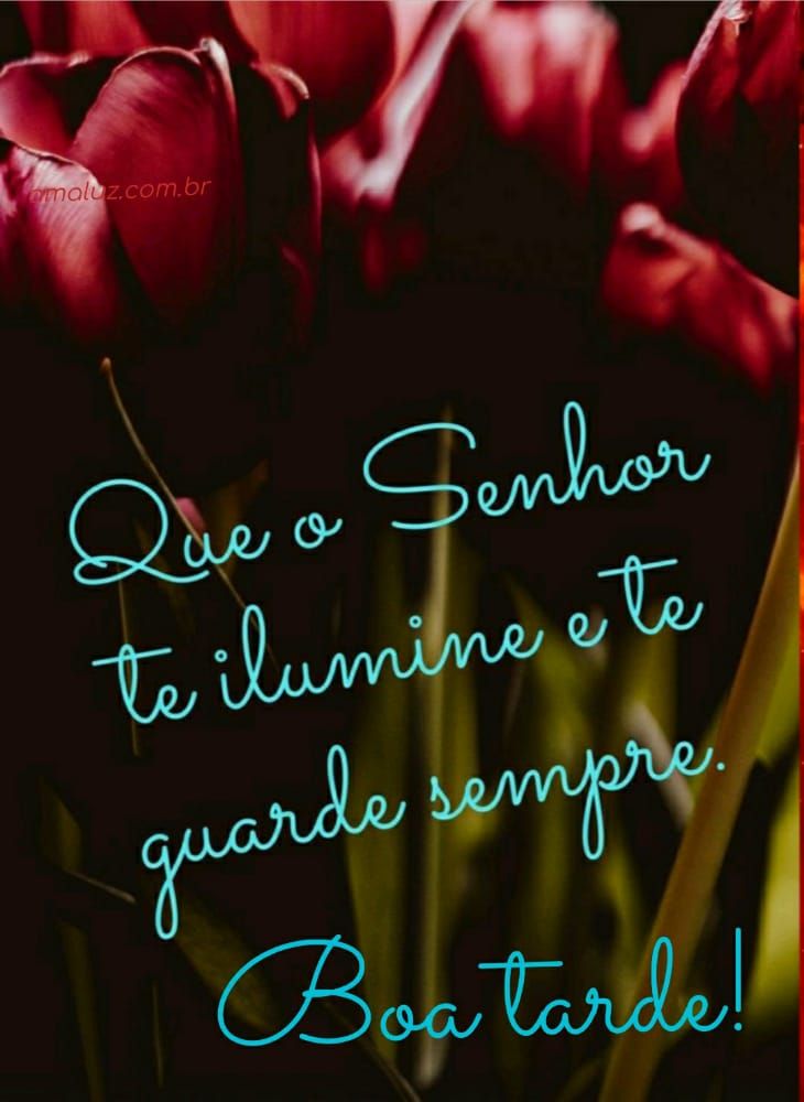 Boa tarde que o Senhor nos der uma tarde de paz