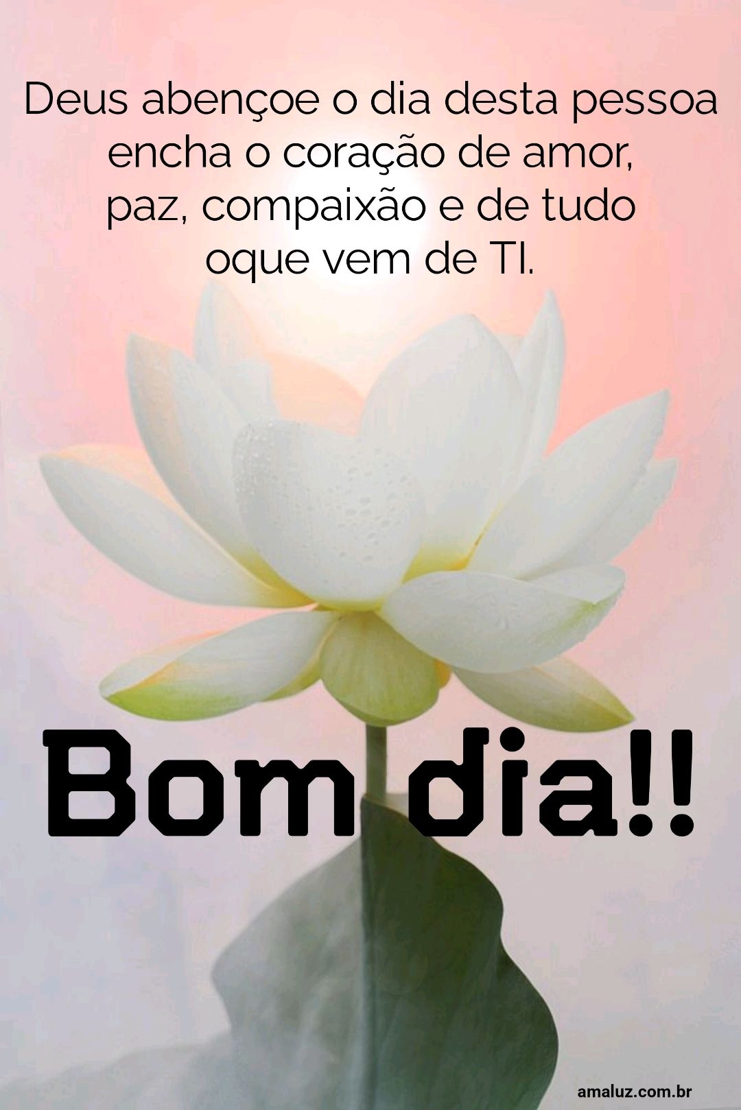 Bom dia, Deus abençoe o dia desta pessoa....
