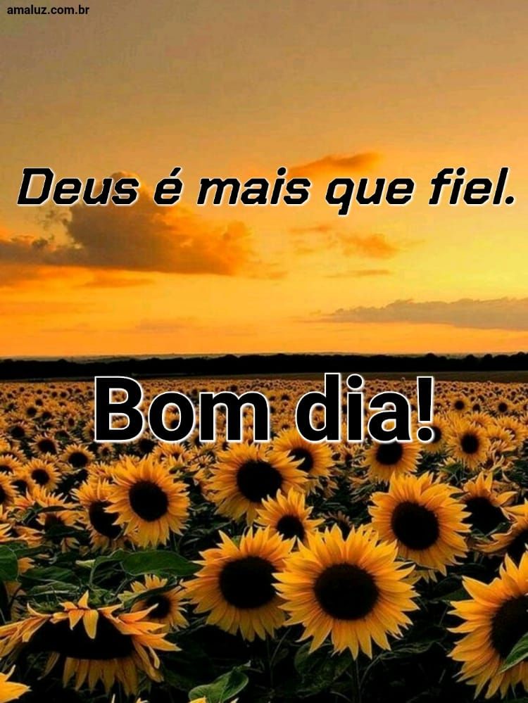 Bom dia, Deus é mais que fiel.
