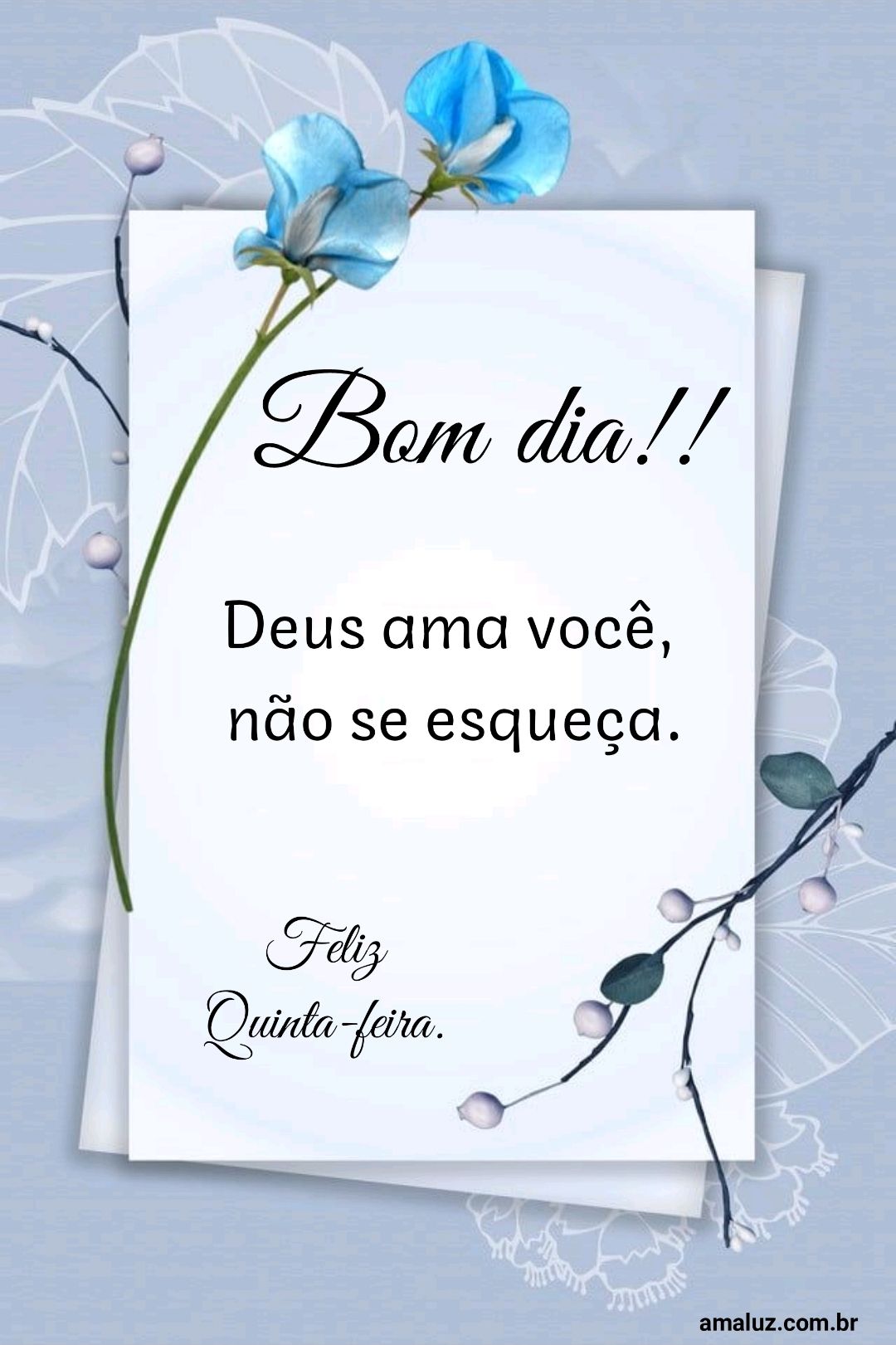 Bom dia Deus ama você não se esqueça