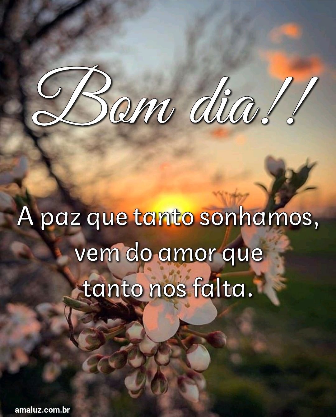 Bom dia, a paz que tanto sonhamos, vem do amor que tanto nos falta.