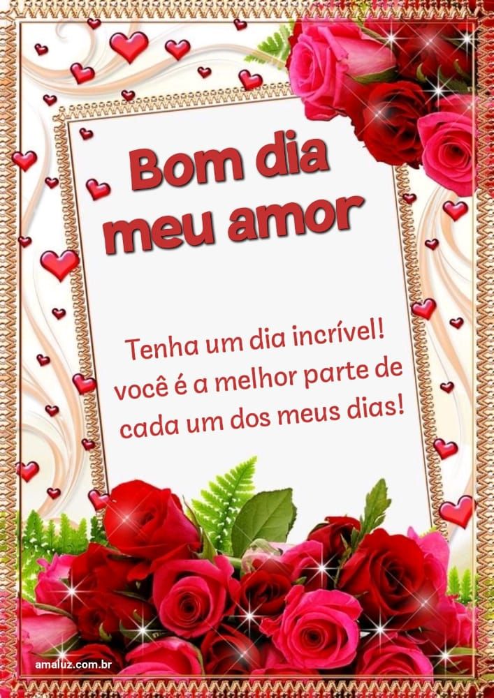 Bom dia amor você e a melhor coisa do meu dia