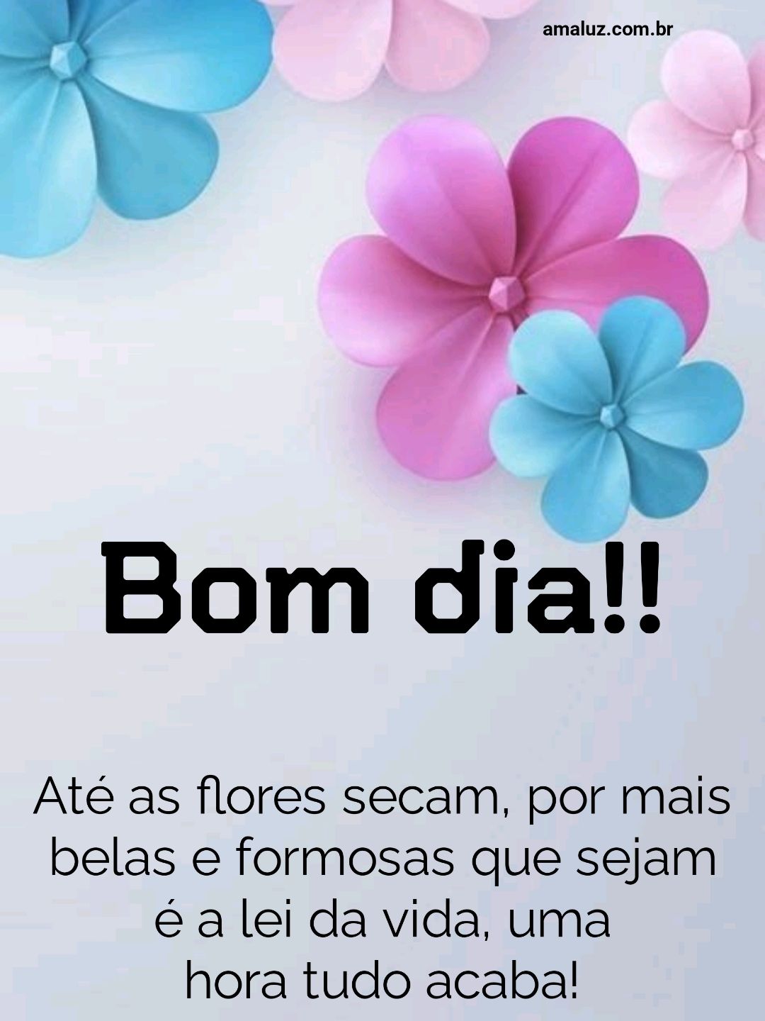 Bom dia, até ad flores secam...