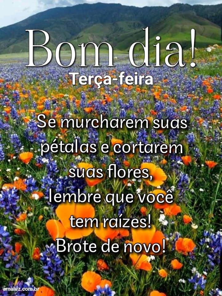 Bom dia brote de novo