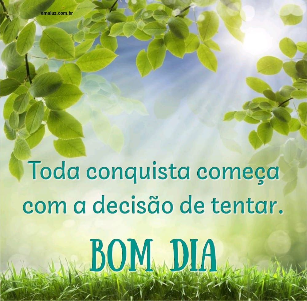 Bom dia com a decisão de tentar
