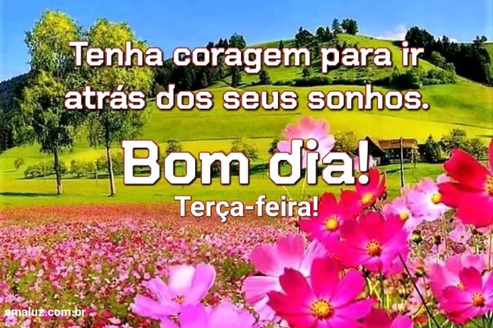 Bom dia corra atrás dos seus sonhos 