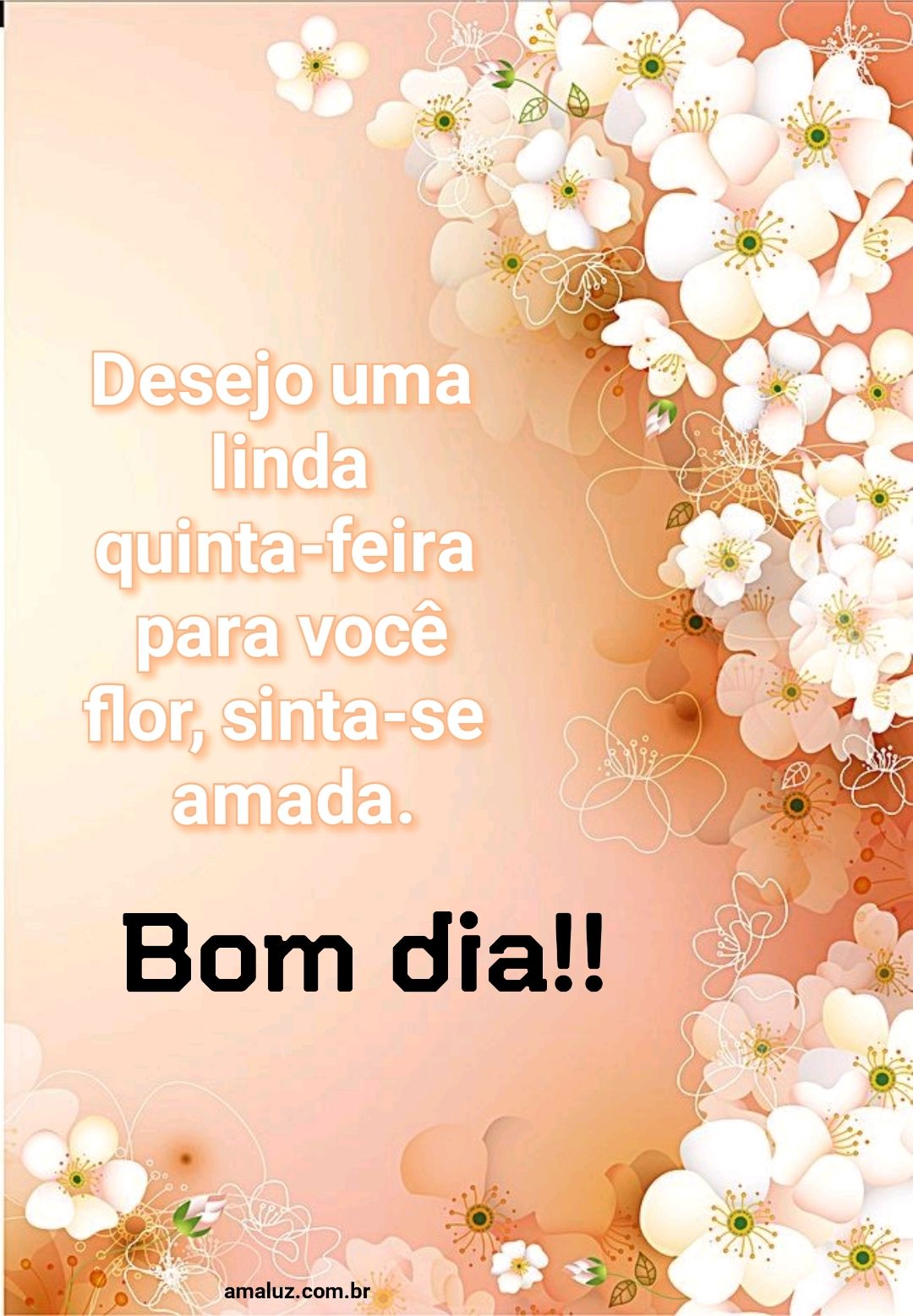 Bom dia desejo uma linda quinta feira