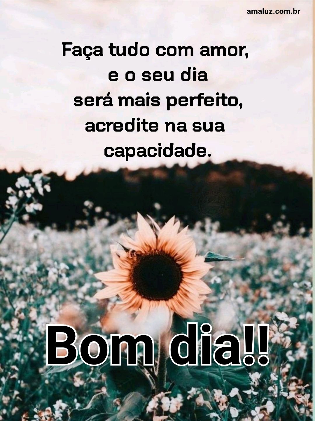 Bom dia faça tudo com amor.