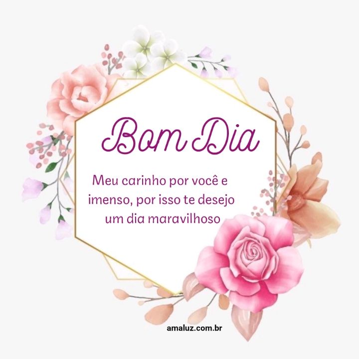 Bom dia, meu carinho por você é imenso.