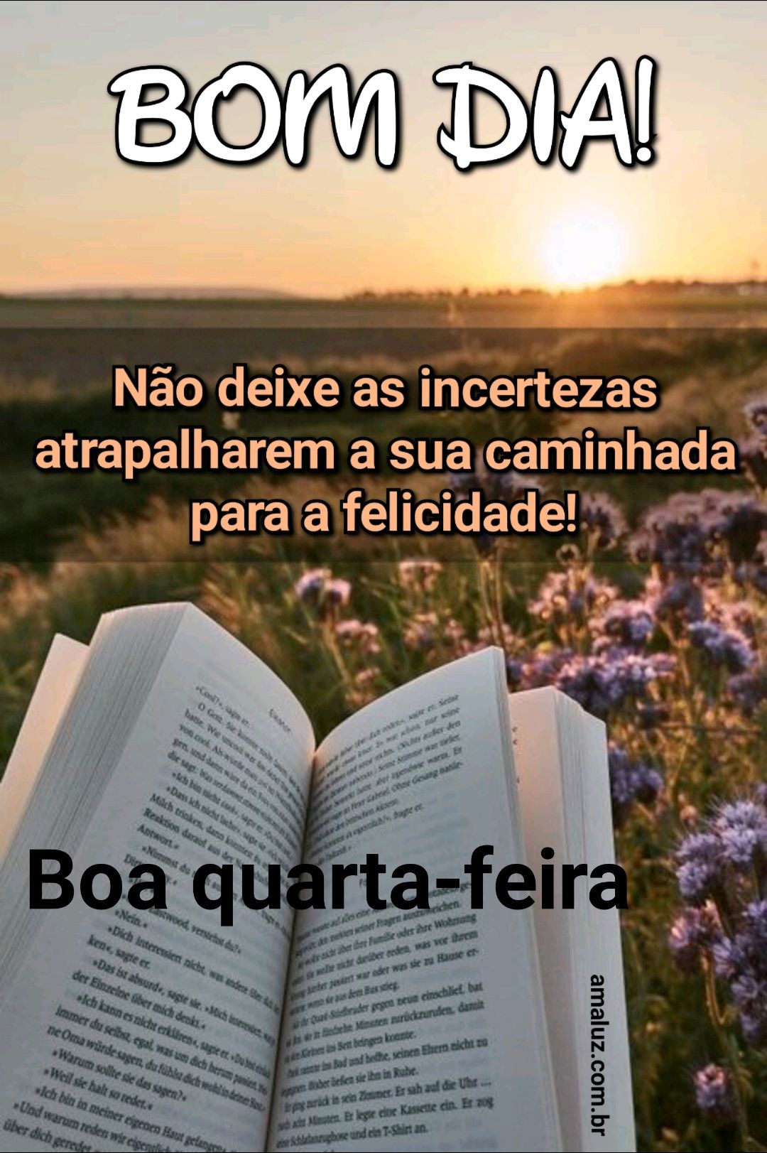 Bom dia não deixe nada tira sua felicidade