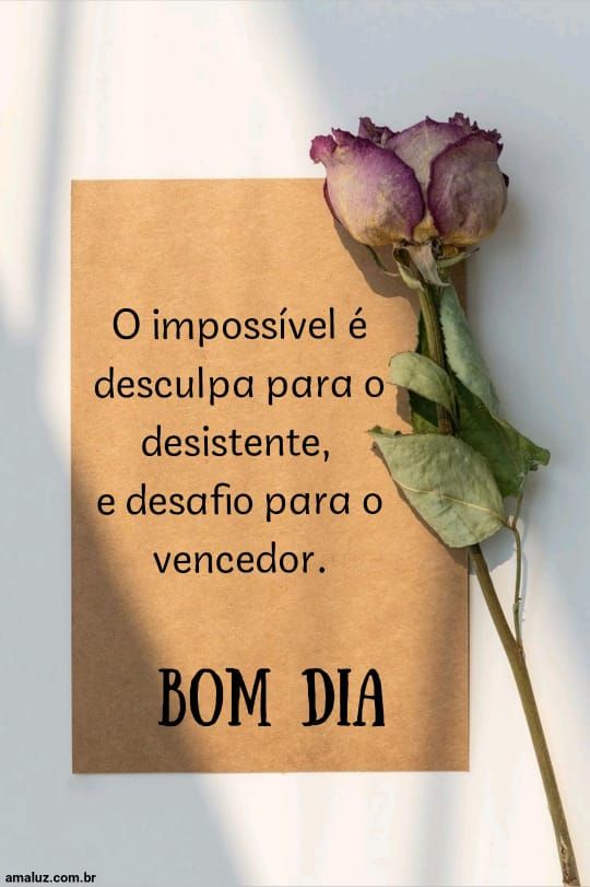 Bom dia nunca desista