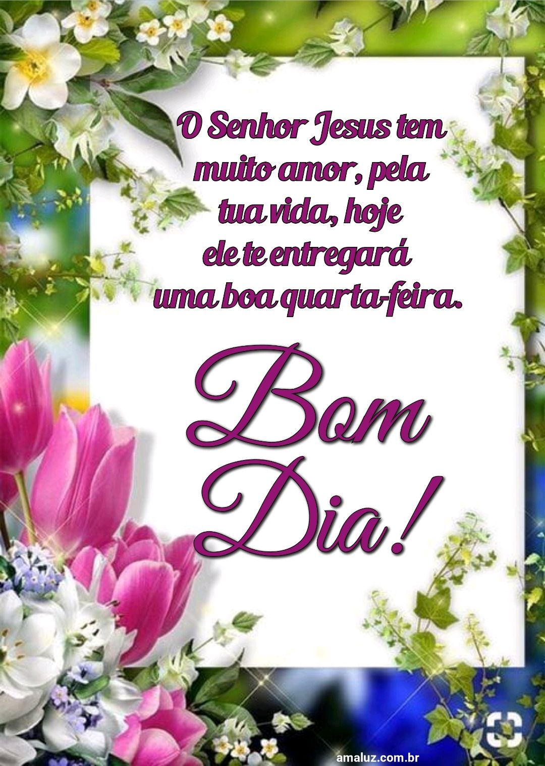 Bom dia, o Senhor te ama.