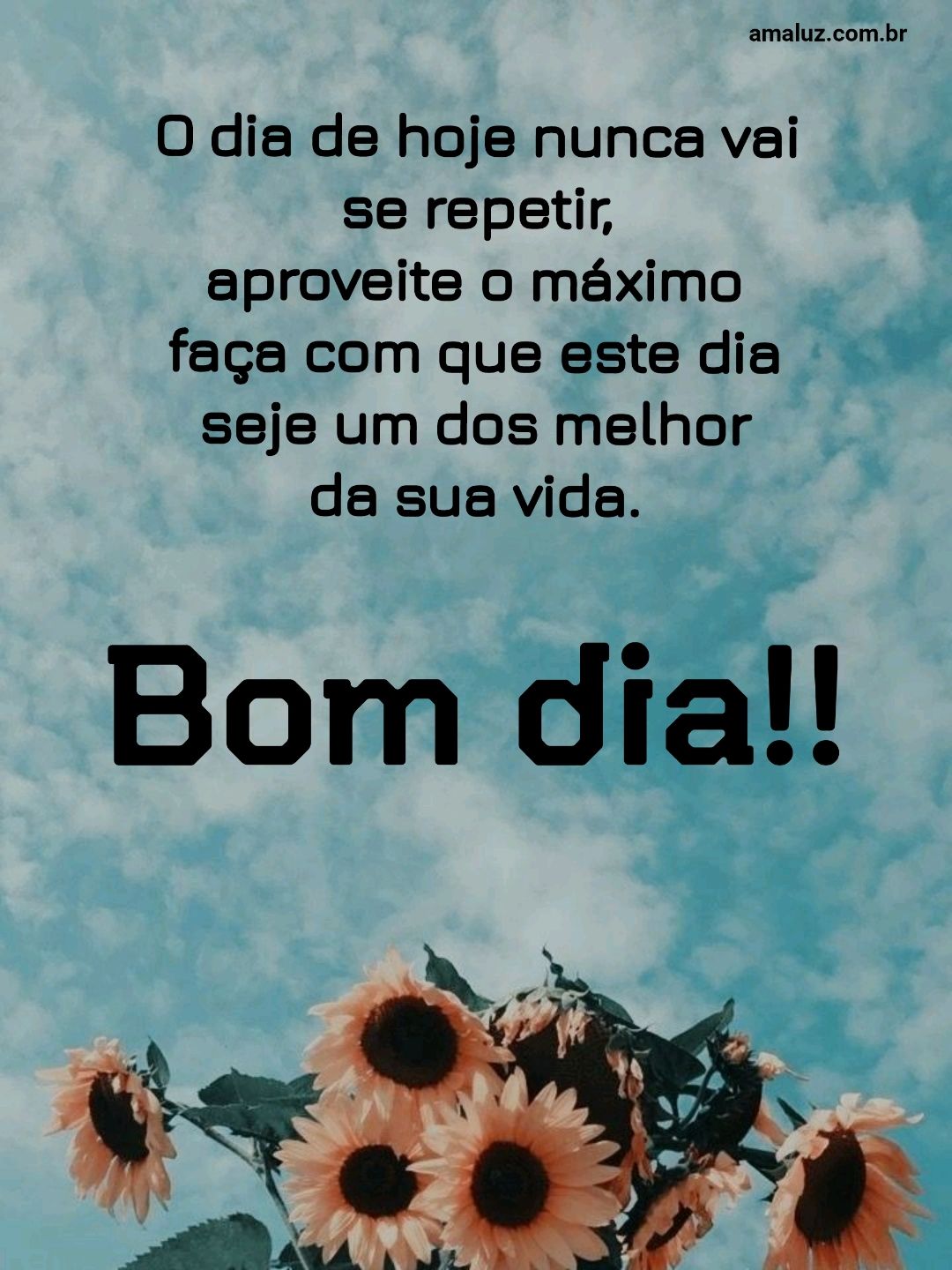 Bom dia, o dia de hoje não irá se repetir, aproveite o máximo que puder.