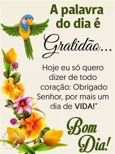 Bom dia com muita gratidão pela a sua amizade.