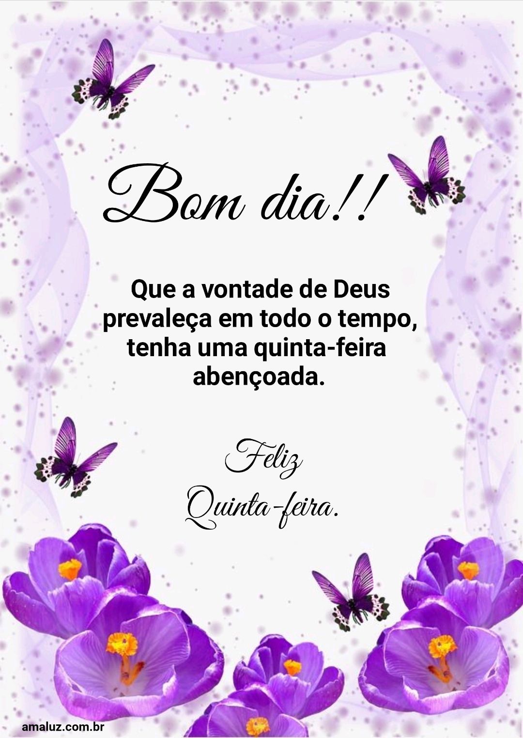 Bom dia, que a vontade de Deus prevaleça.
