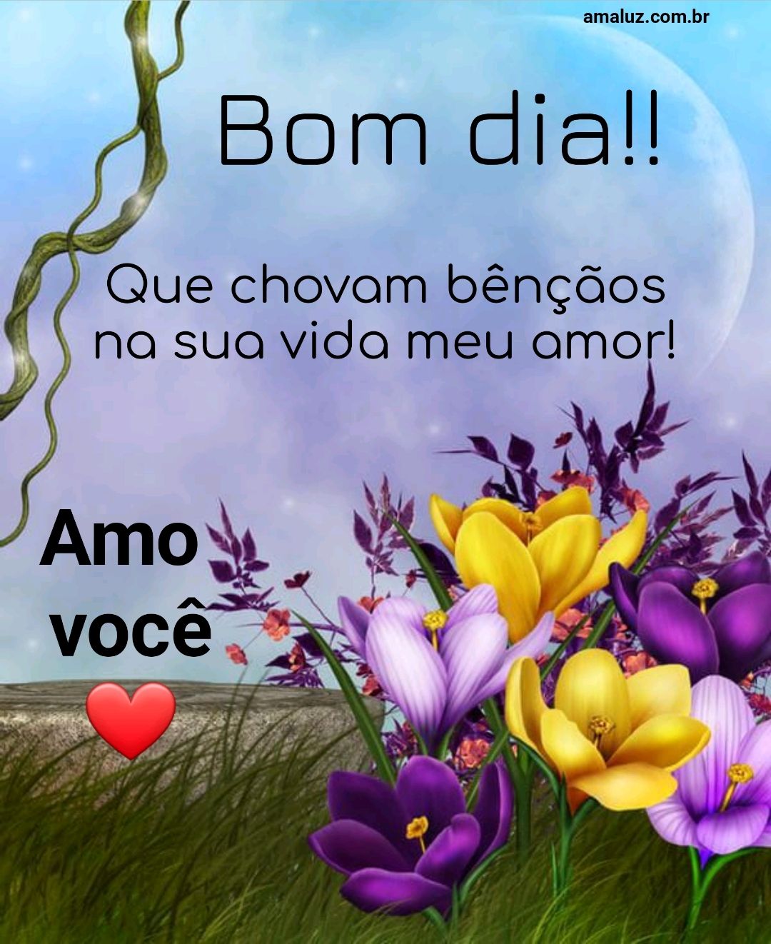 Bom dia, que chovam bênçãos na sja vida.