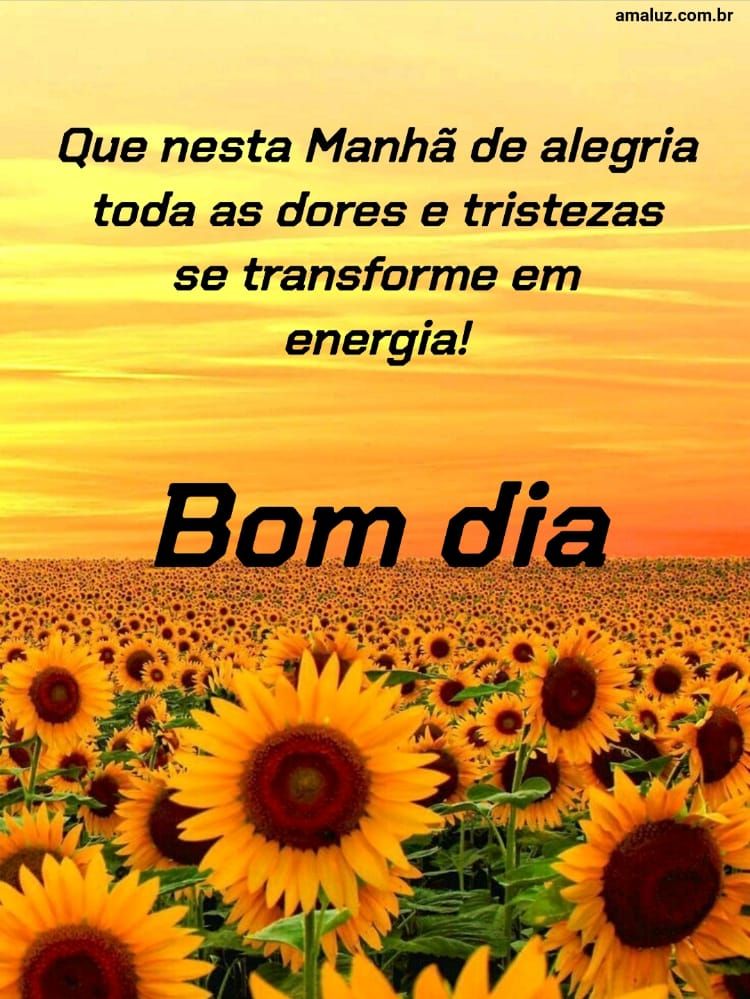 Bom dia, que nesta manhã de alegria toda as dores e tristezas se transforme em energia.