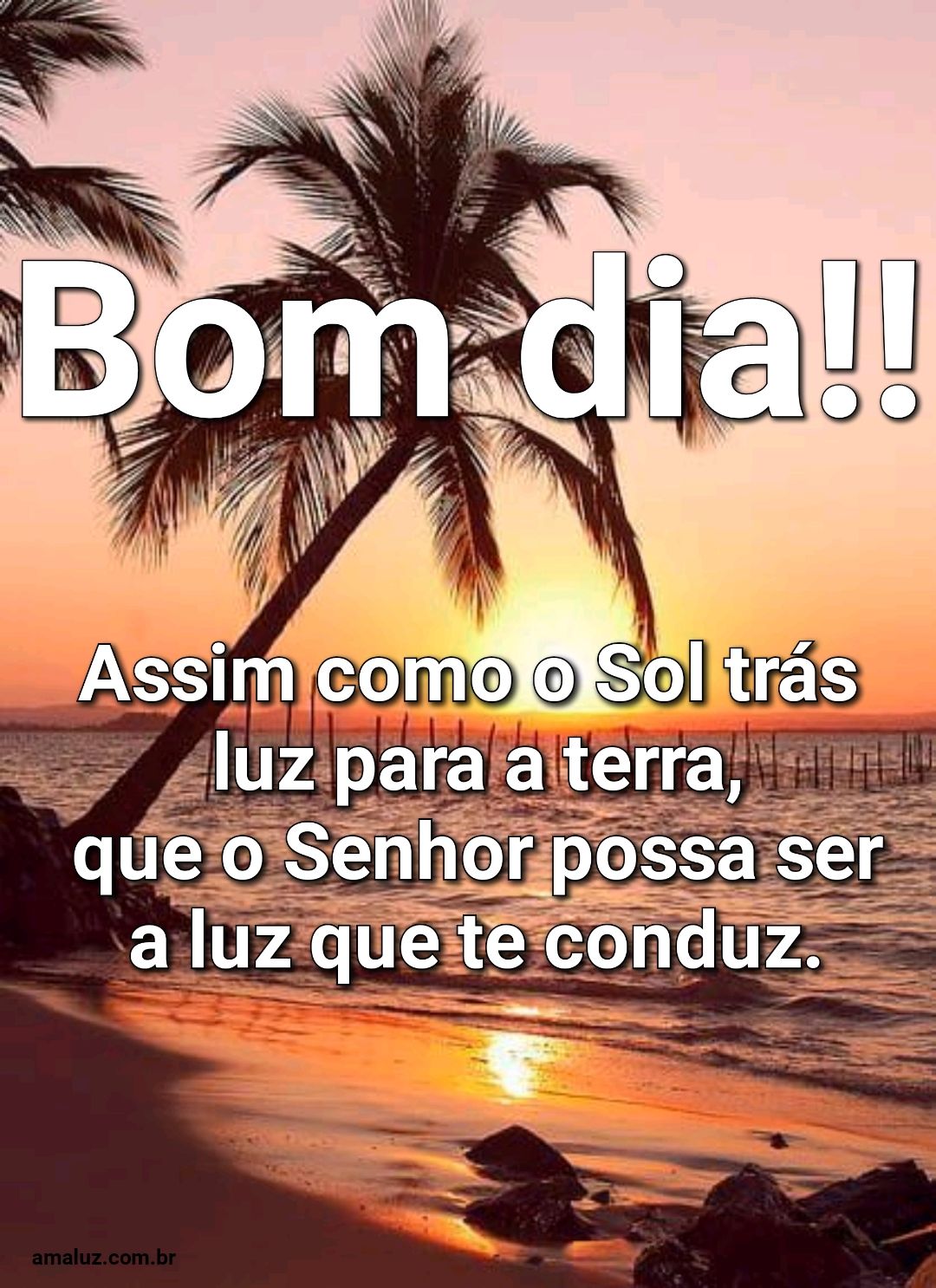 Bom dia, que o Senhor seja a nossa luz.