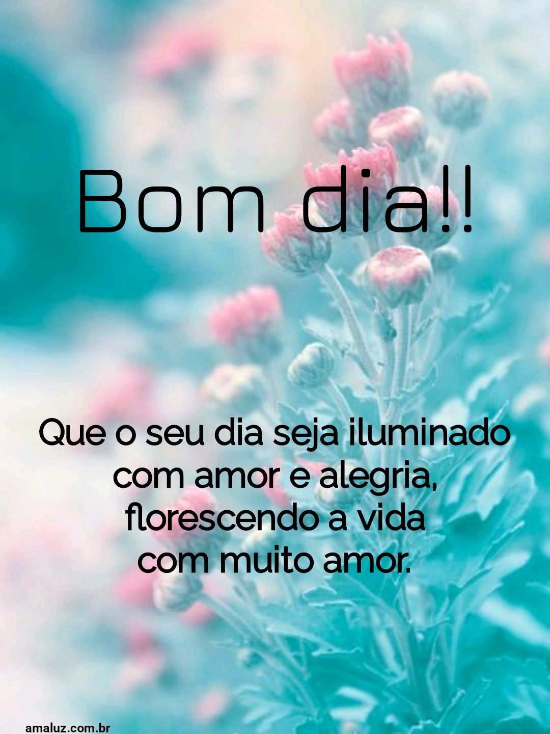 Bom dia, que o seu dia seja iluminado.
