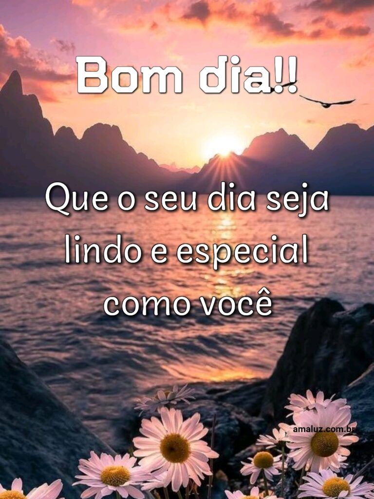 Bom dia, que o seu dia seja lindo e especial como você.