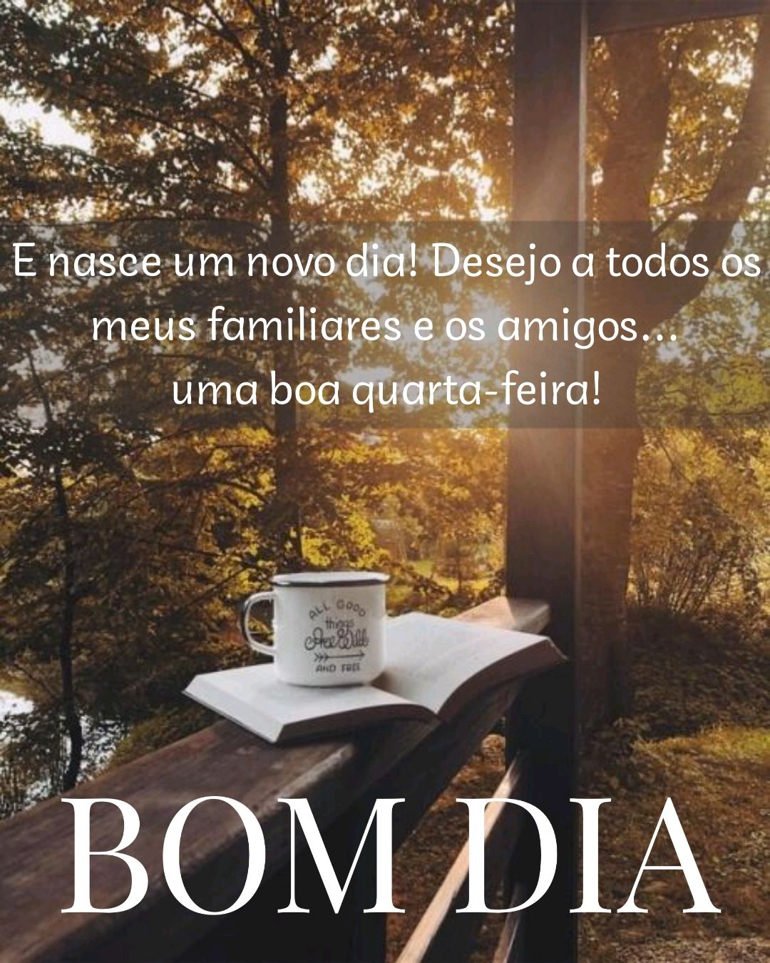 Bom dia que todos tenha uma boa quarta-feira 