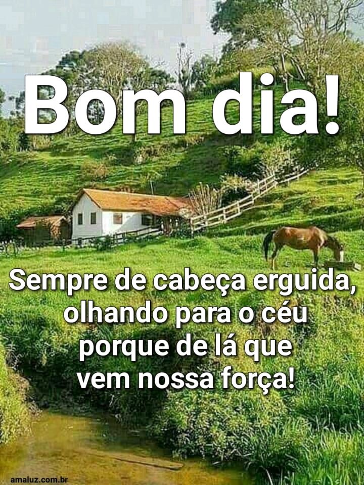 Bom dia sempre de cabeça erguida.
