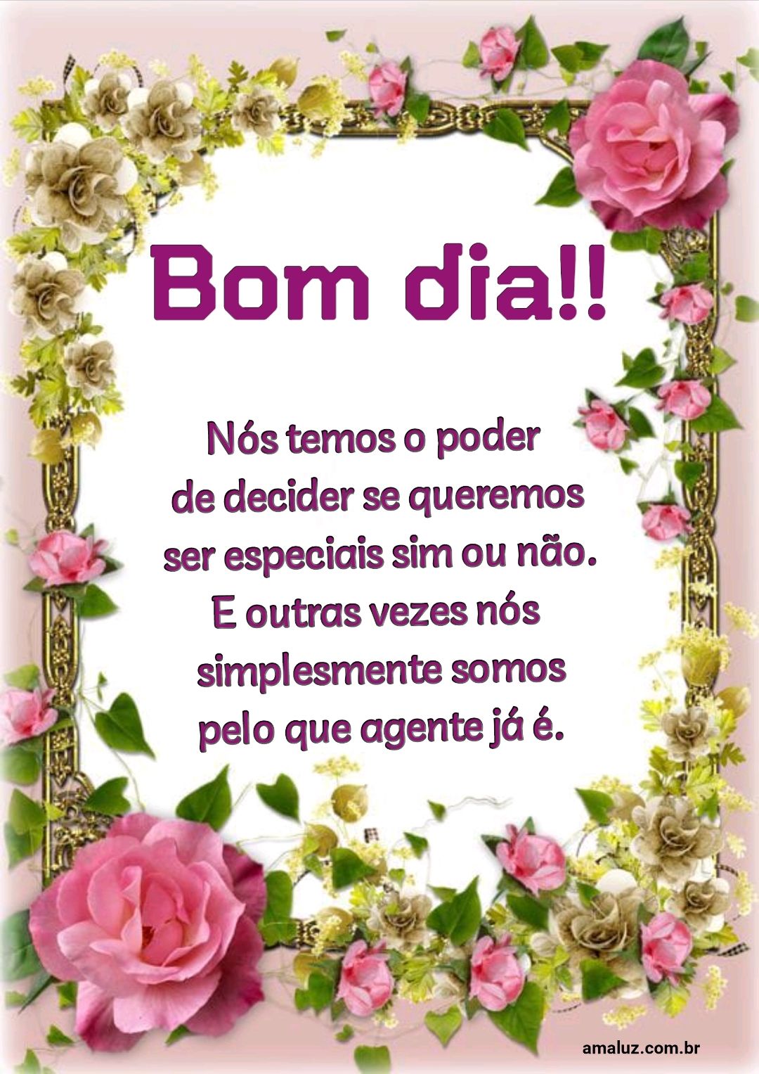 Bom dia, ser especial sim ou não?!