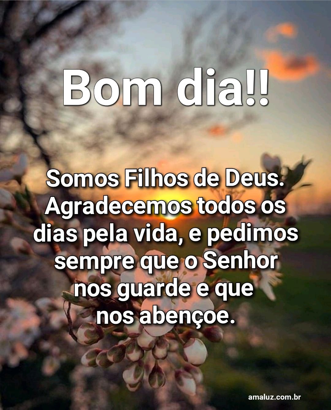 Bom dia, somos filhos de Deus.