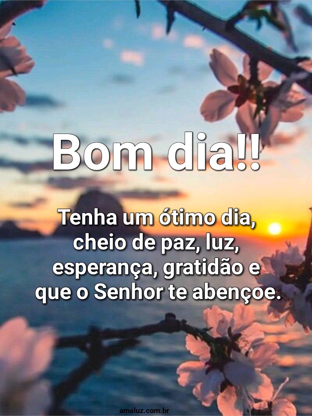 Bom dia tenha um ótimo dia.